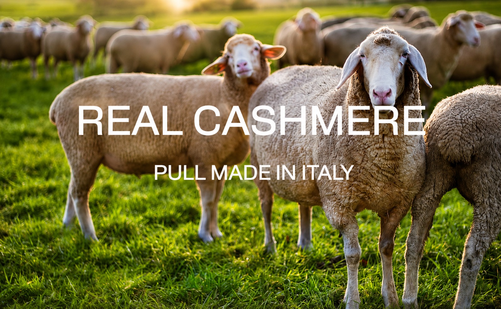 Real Cashmere - Pull Made in Italy
